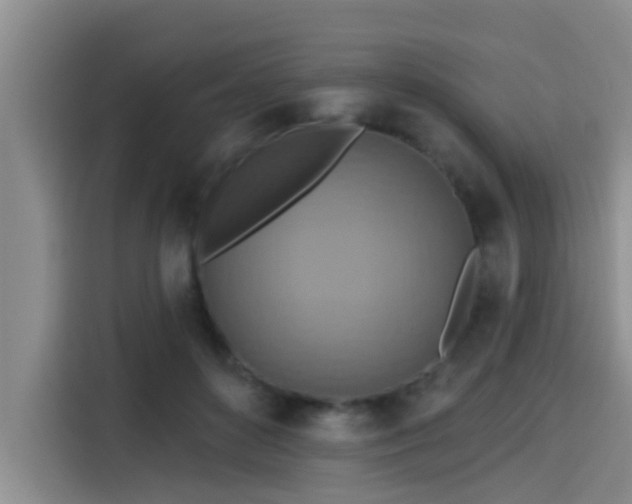 X0000115450504200911121156