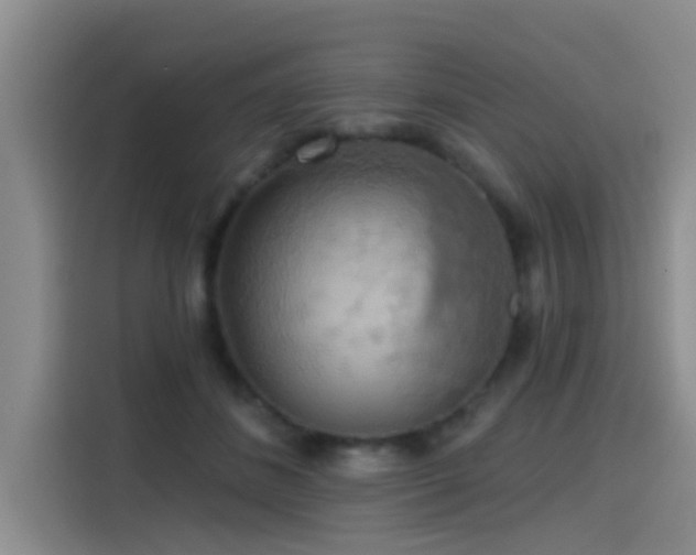 X0000115450508200911121156