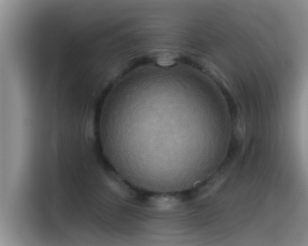 X0000115450512200911121156