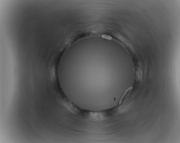 X0000115450520200911121156