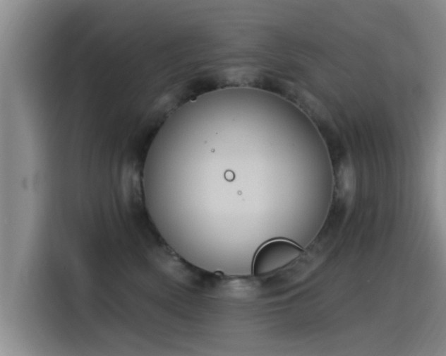 X0000115450522200911121156