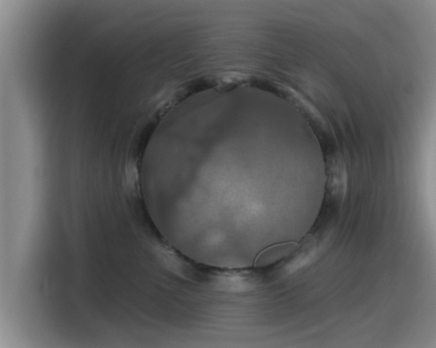 X0000115450523200911121156