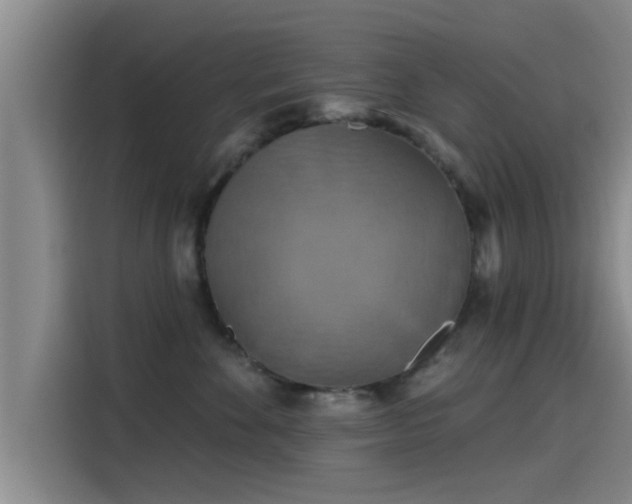 X0000115450524200911121156