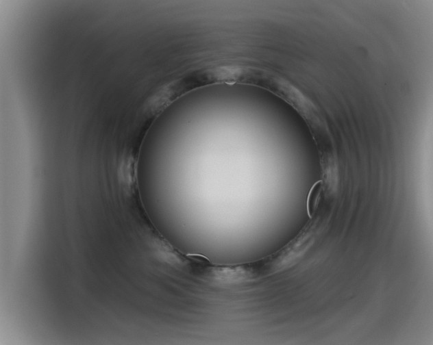 X0000115450525200911121156