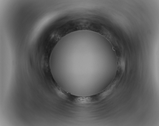 X0000115450526200911121156