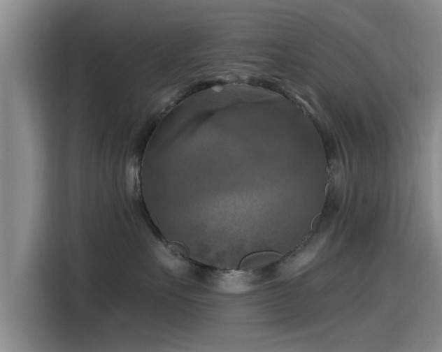 X0000115450527200911121156