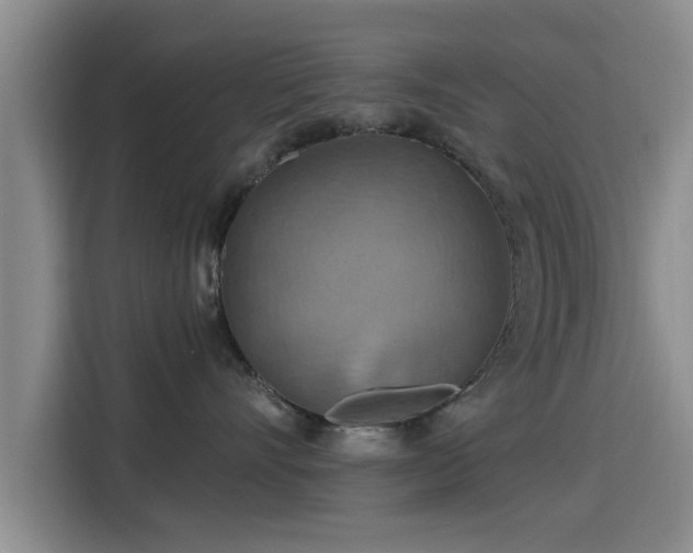 X0000115450528200911121156