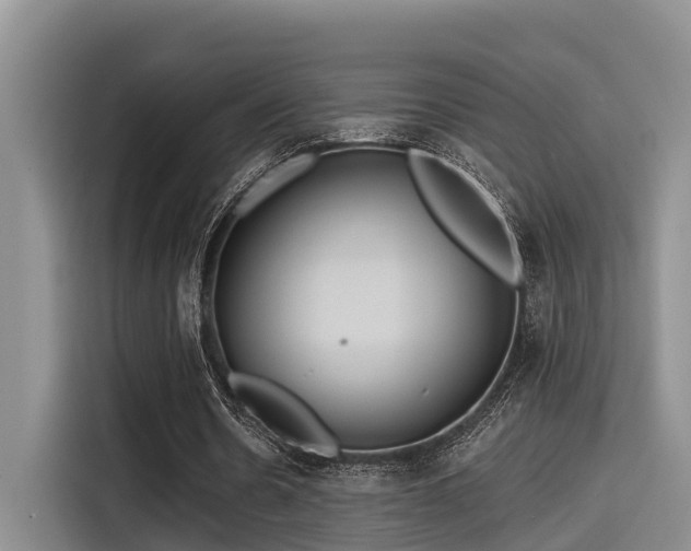 X0000115450530200911121155