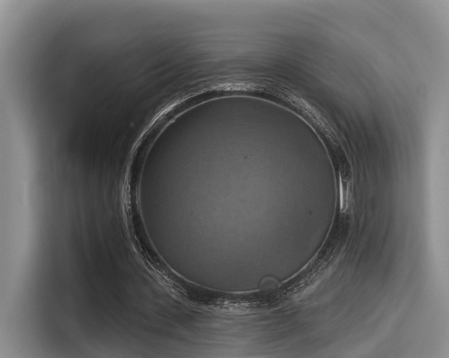 X0000115450531200911121155