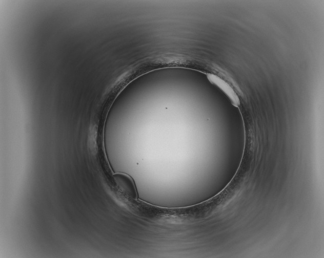 X0000115450538200911121156