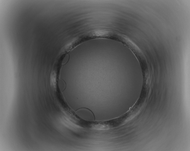 X0000115450542200911121156