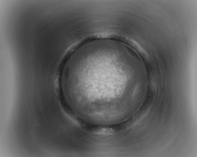 X0000115450543200911121156