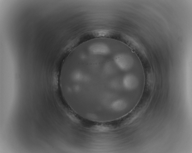 X0000115450545200911121156