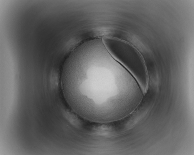 X0000115450546200911121156