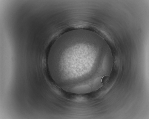 X0000115450547200911121156