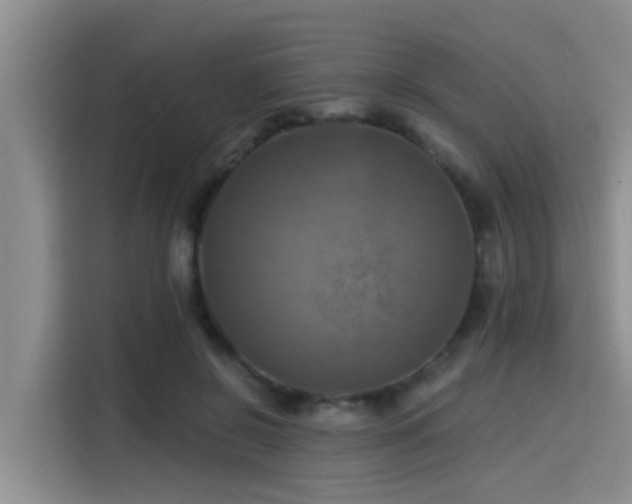 X0000115450550200911121156