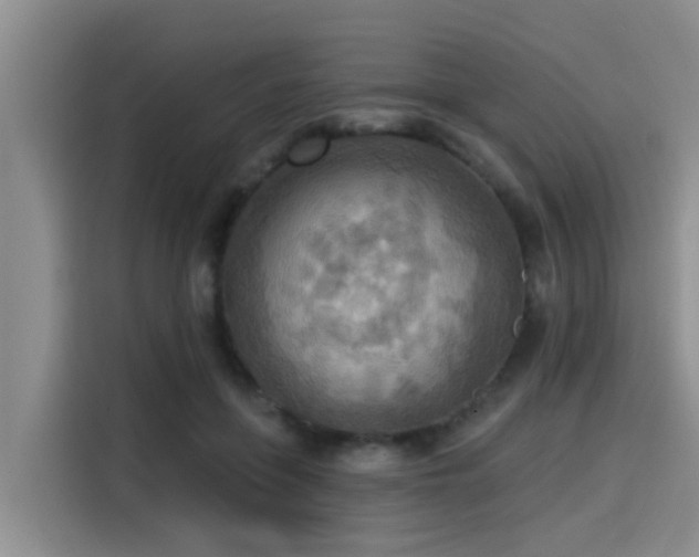 X0000115450551200911121156