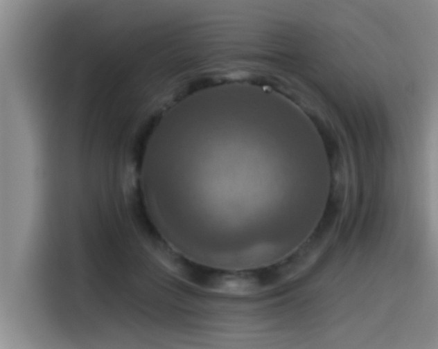 X0000115450555200911121156