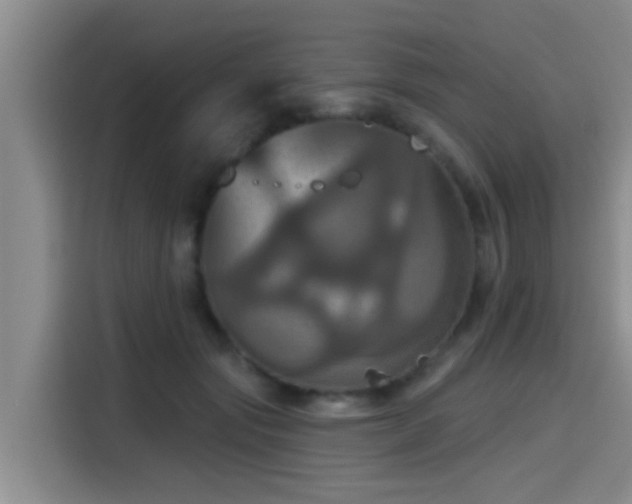 X0000115450557200911121156