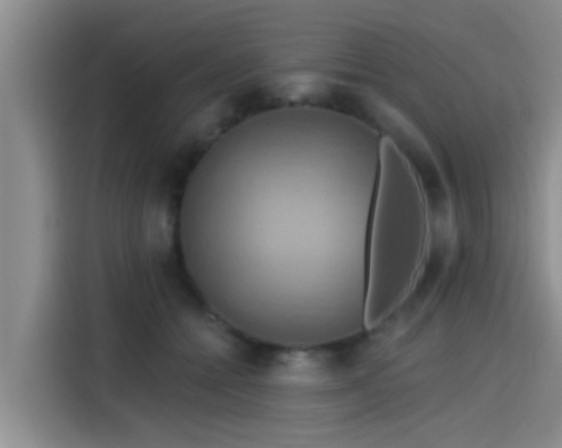 X0000115450558200911121156