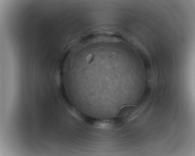 X0000115450563200911121156