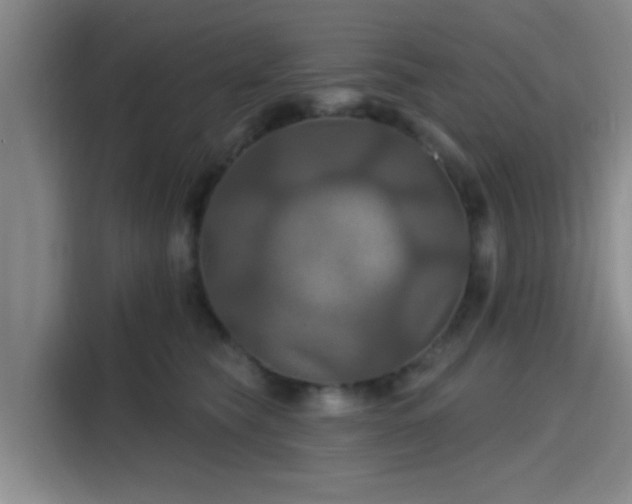 X0000115450565200911121156