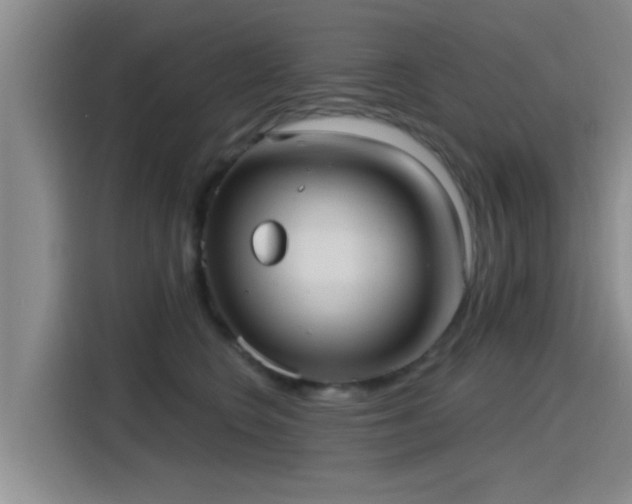 X0000115450566200911121156