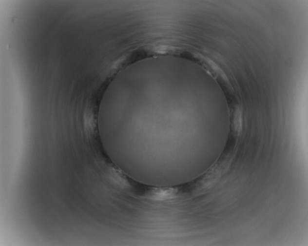 X0000115450569200911121156