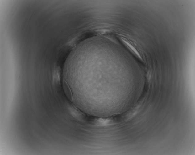 X0000115450570200911121156