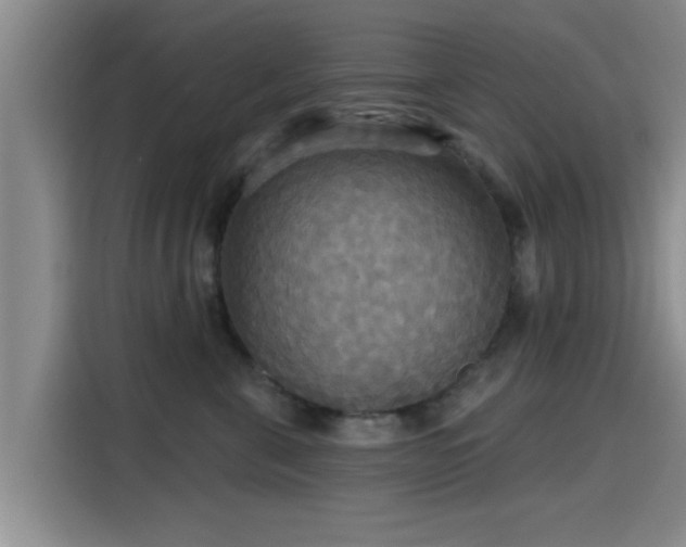 X0000115450571200911121156