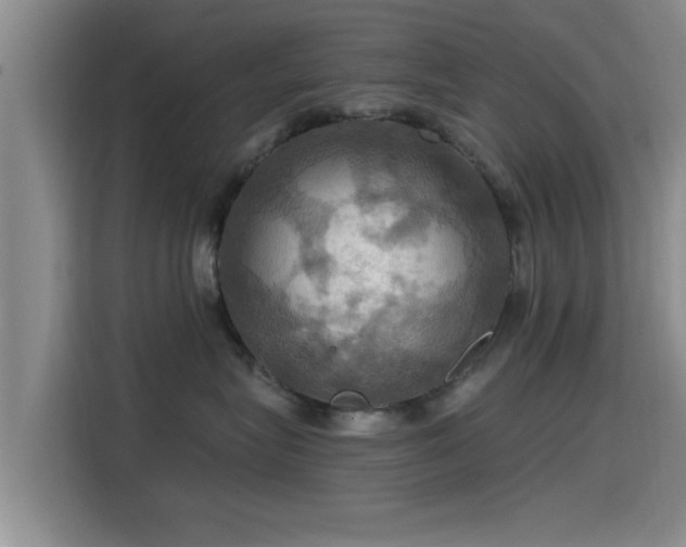 X0000115450575200911121156