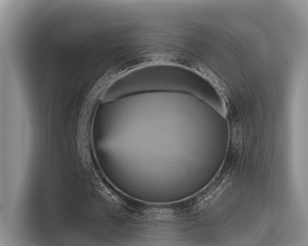 X0000115450577200911121155