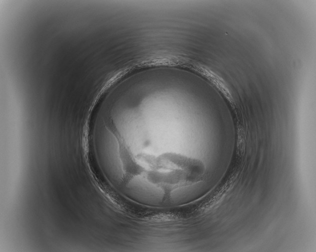 X0000115450578200911121155