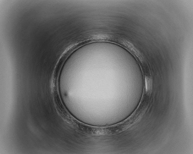 X0000115450579200911121155