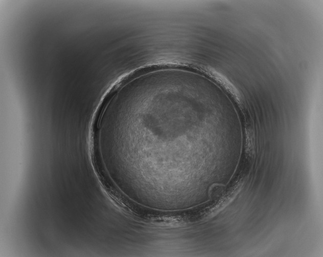 X0000115450580200911121155