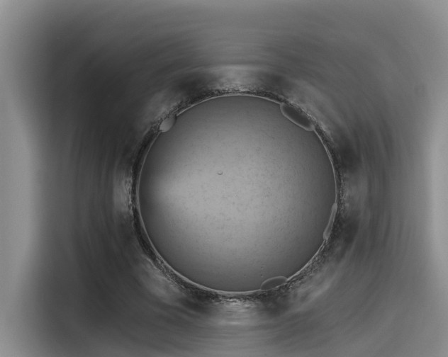 X0000115450585200911121155