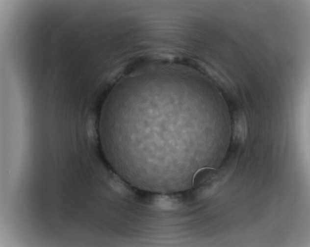 X0000115450616200911121155