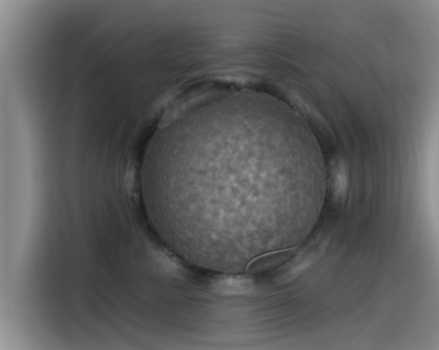 X0000115450619200911121155