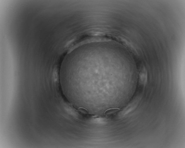 X0000115450620200911121155