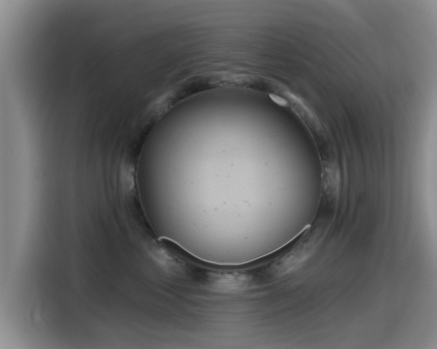 X0000115450621200911121155