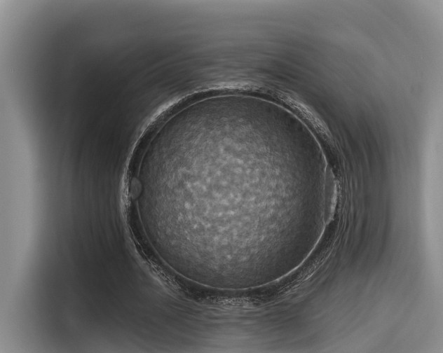 X0000115450628200911121154