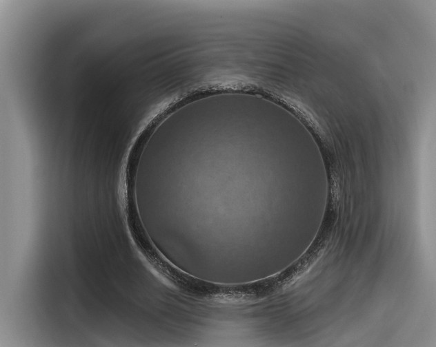 X0000115450630200911121154