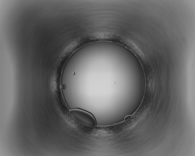 X0000115450635200911121154