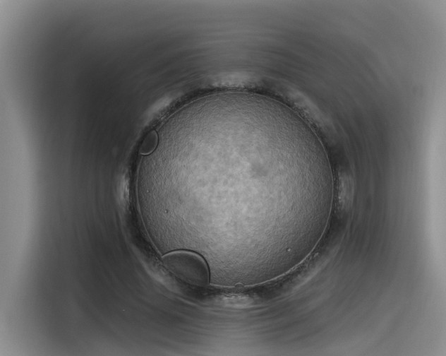 X0000115450636200911121154