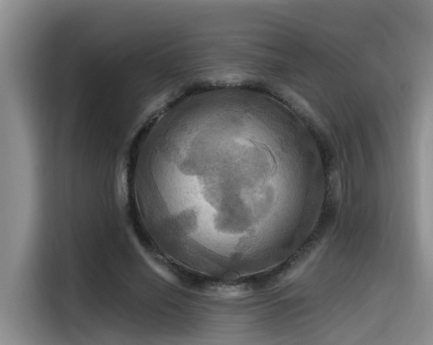 X0000115450638200911121154