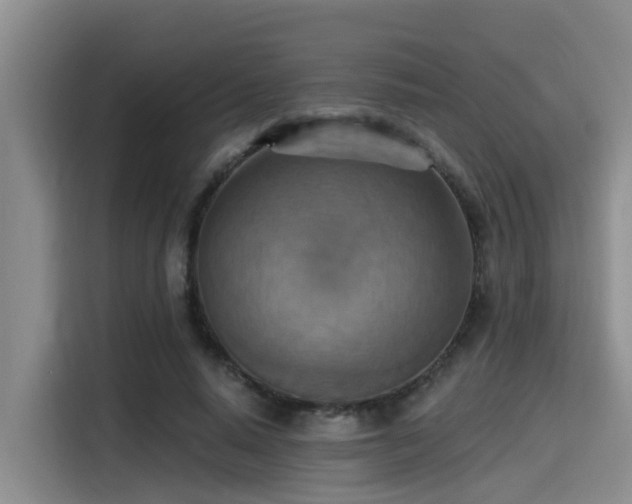 X0000115450640200911121154