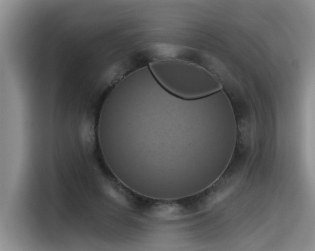 X0000115450642200911121154