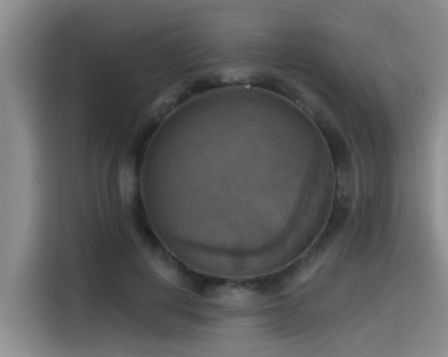 X0000115450648200911121154