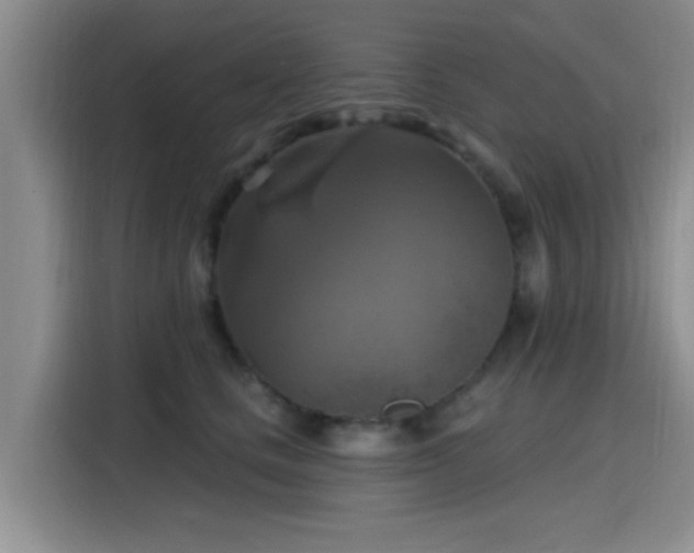 X0000115450661200911121155