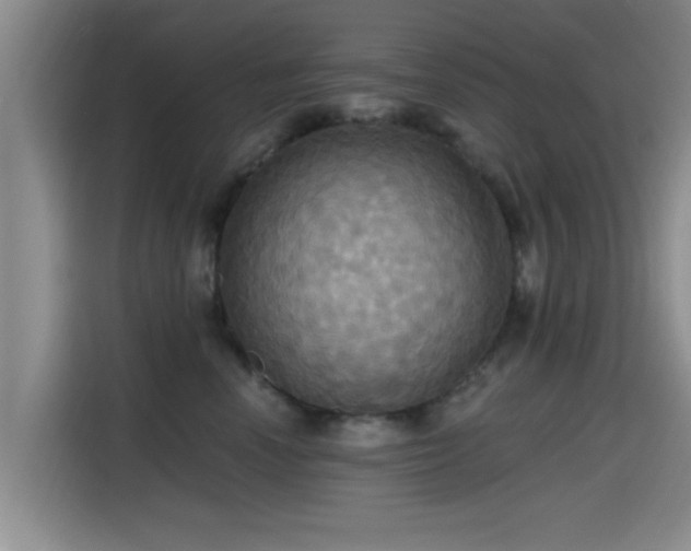 X0000115450666200911121155